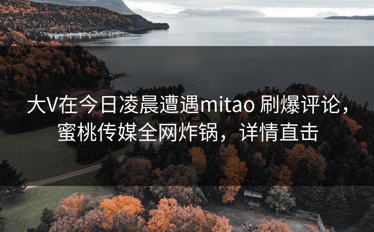 大V在今日凌晨遭遇mitao 刷爆评论，蜜桃传媒全网炸锅，详情直击